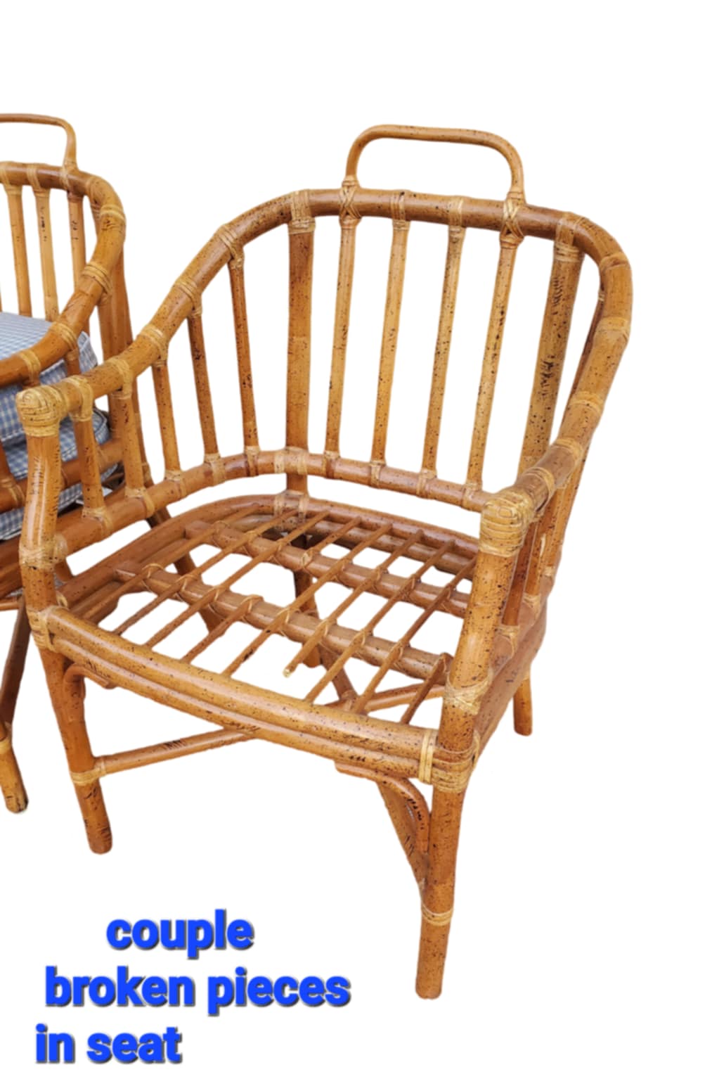 Pair of Rattan Mid-Century Chairs/ Maguire Style Chairs