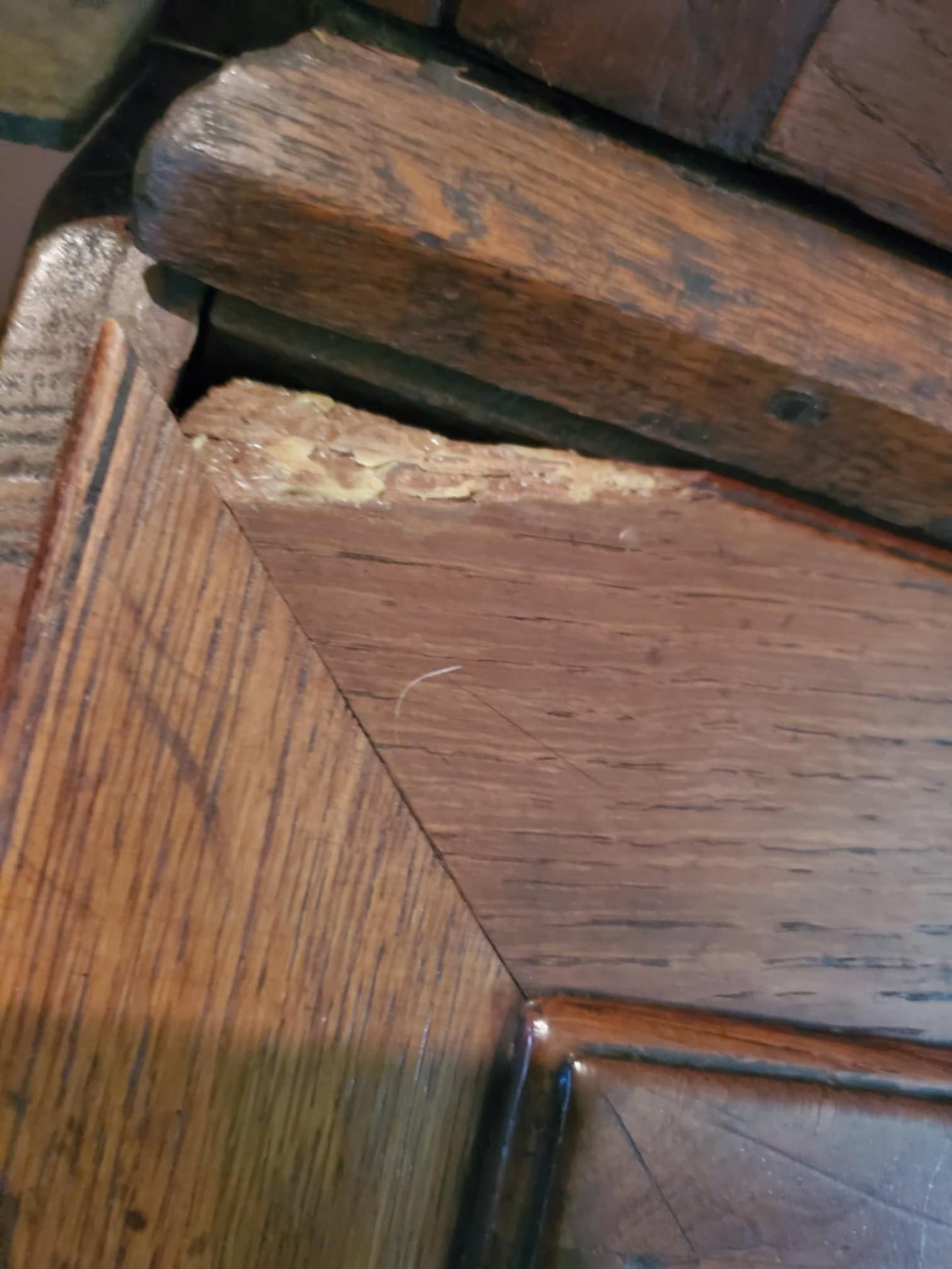 Antique Desk/ Antique Bookcase/ 1800's Large Bookcase/ Large Desk